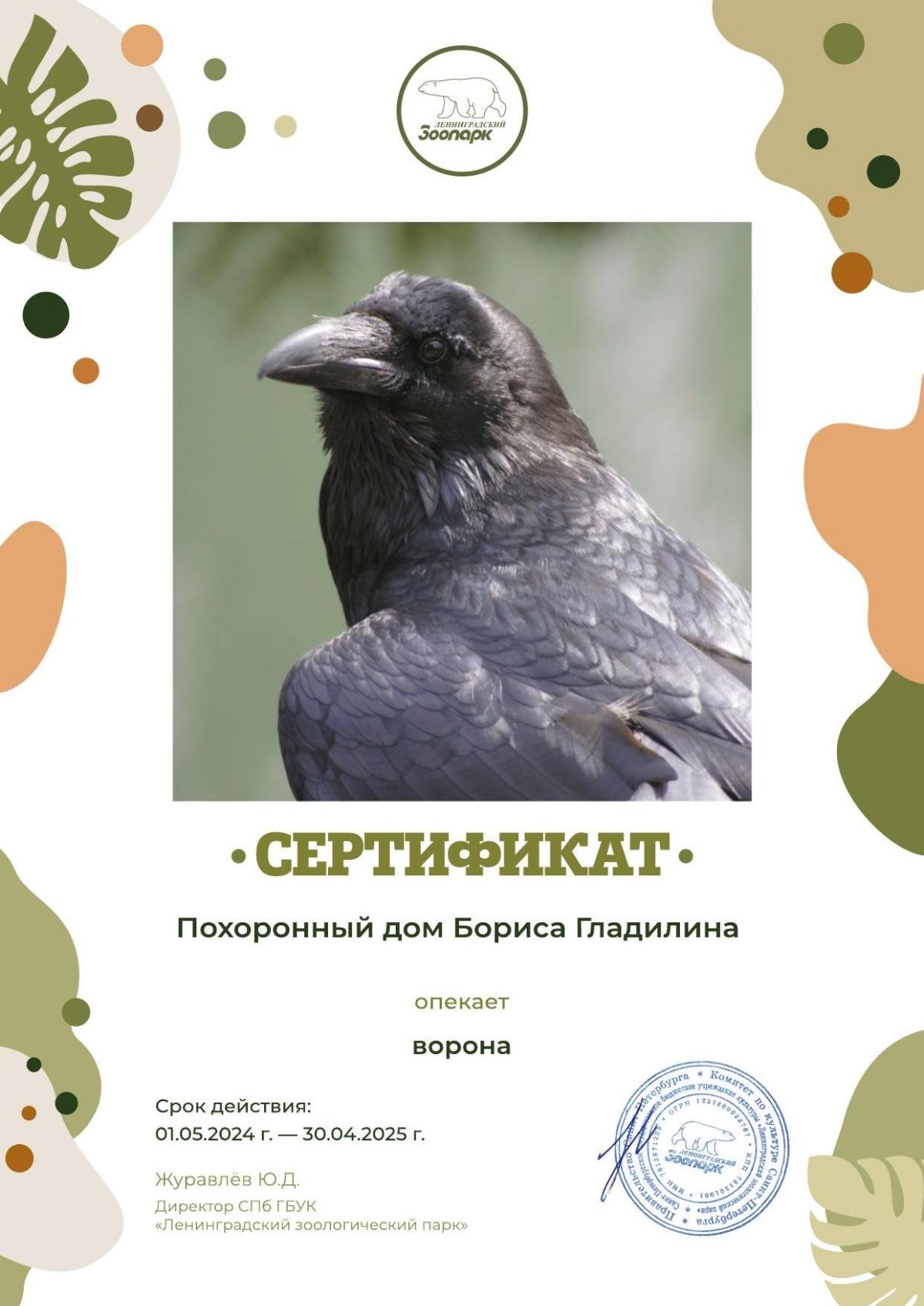 Сертификат опеки 