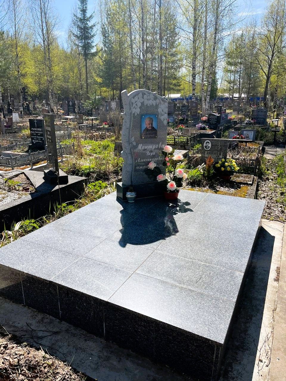 Памятник с березой