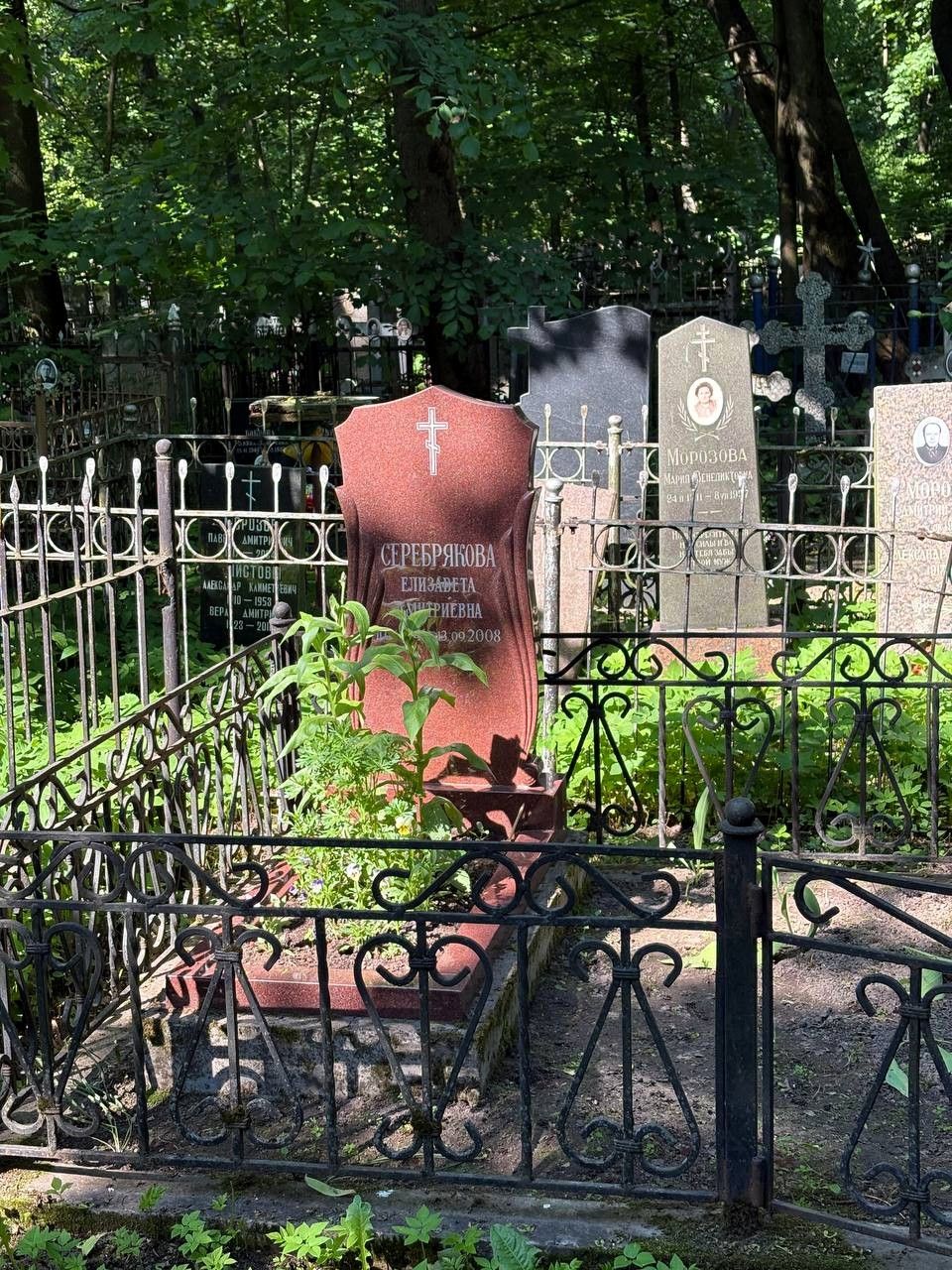 Яркий гранитный памятник